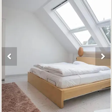 Winterberg Appartement Daire